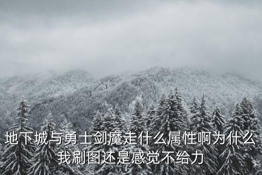 dnf剑魔要打什么属性，DNF剑魔主要加什么属性