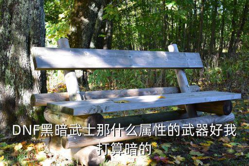 DNF黑暗武士那什么属性的武器好我打算暗的