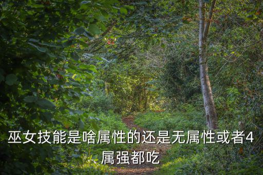 dnf巫女技能是什么属性，DNF女巫是什么属性