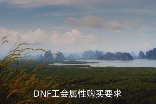 DNF工会属性购买要求