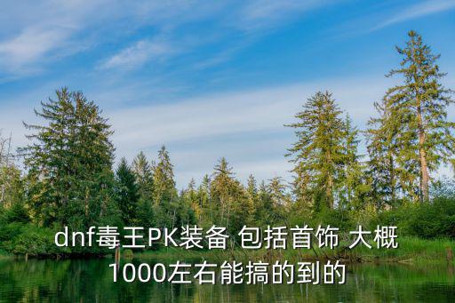 dnf毒王PK装备 包括首饰 大概1000左右能搞的到的