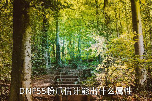 DNF55粉爪估计能出什么属性