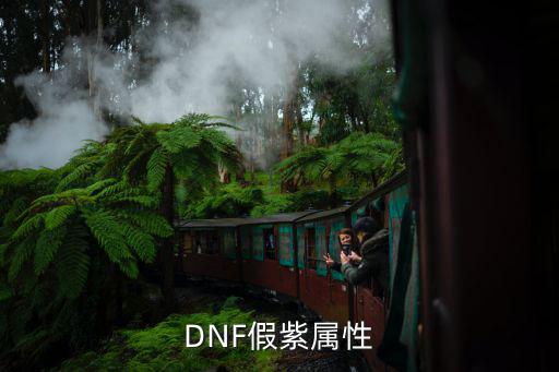 DNF假紫属性