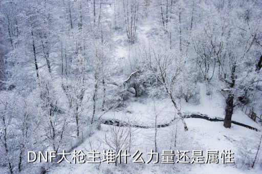 dnf暗枪主要堆什么属性，DNF暗夜步枪满属性是多少