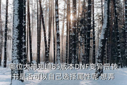 哪位大神知道85版本DNF变异扭转书是否可以自己选择属性呢 想弄