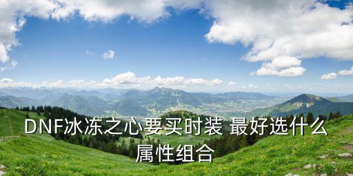 DNF冰冻之心要买时装 最好选什么属性组合