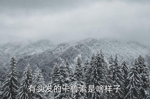 有头发的卡鲁索是啥样子