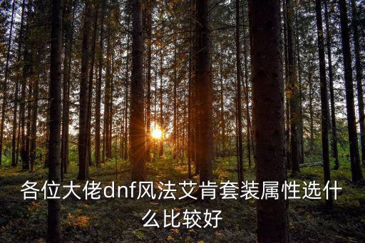 各位大佬dnf风法艾肯套装属性选什么比较好