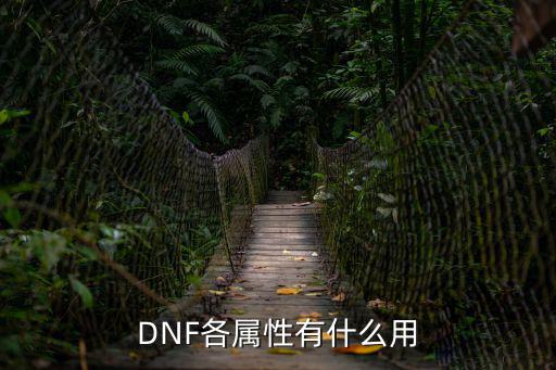 DNF各属性有什么用