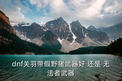 dnf关羽带假野猪武器好 还是 无法者武器