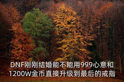 dnf结婚属性用什么升级，新出的那个结婚升级是怎么用的啊能升级几次