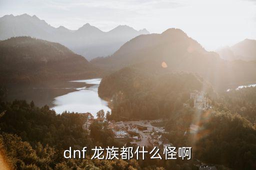 dnf 龙族怪用什么属性，DNF的怪都是什么属性的我应该用暗属性还是用光属性还是其