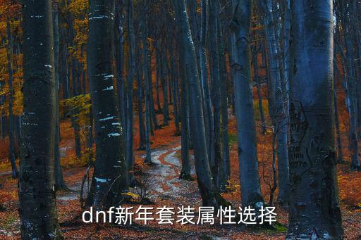 dnf新年套装属性选择