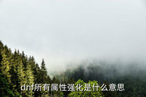 dnf全属性强化是什么，dnf所有属性强化是什么意思