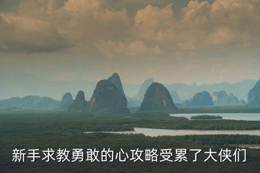 新手求教勇敢的心攻略受累了大侠们