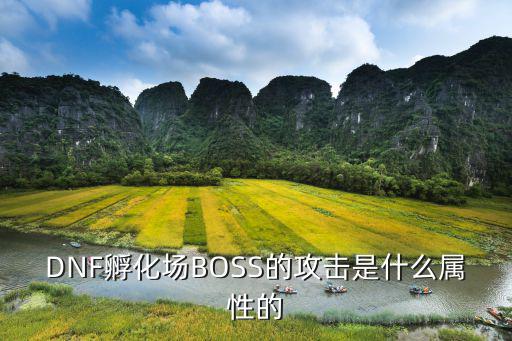 DNF孵化场BOSS的攻击是什么属性的