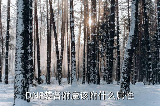 DNF装备附魔该附什么属性