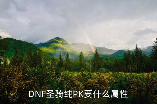 dnf女圣骑吃什么属性，DNF圣骑纯PK要什么属性