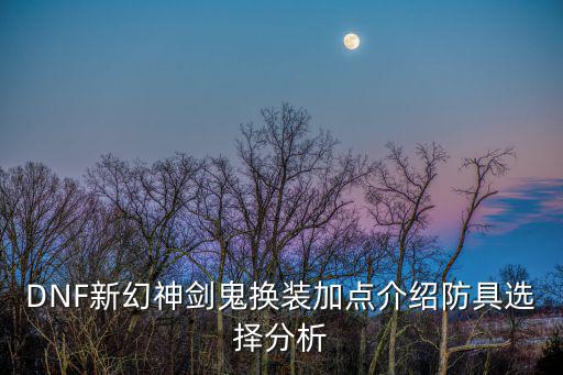DNF新幻神剑鬼换装加点介绍防具选择分析