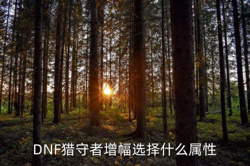 DNF猎守者增幅选择什么属性
