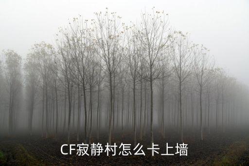 CF寂静村怎么卡上墙