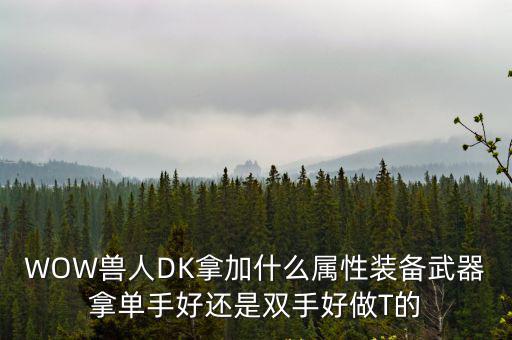 WOW兽人DK拿加什么属性装备武器拿单手好还是双手好做T的