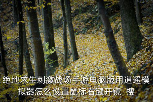 绝地求生刺激战场手游电脑版用逍遥模拟器怎么设置鼠标右键开镜  搜
