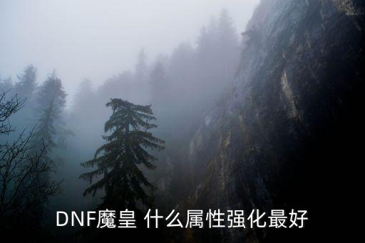 DNF魔皇 什么属性强化最好