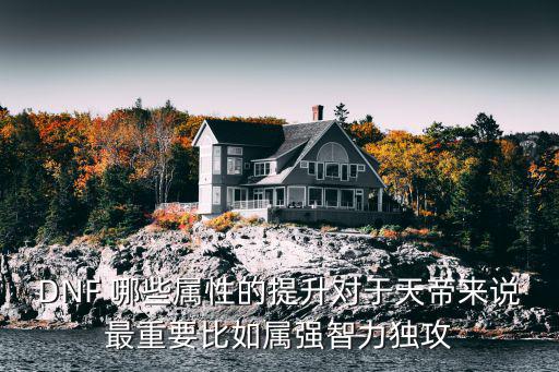 DNF 哪些属性的提升对于天帝来说最重要比如属强智力独攻
