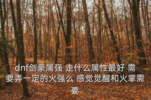 dnf剑豪什么属性最强，dnf剑豪属强 走什么属性最好 需要弄一定的火强么 感觉觉醒和火掌需要