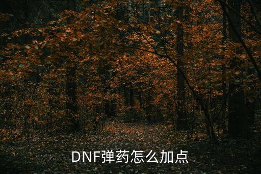 DNF弹药怎么加点