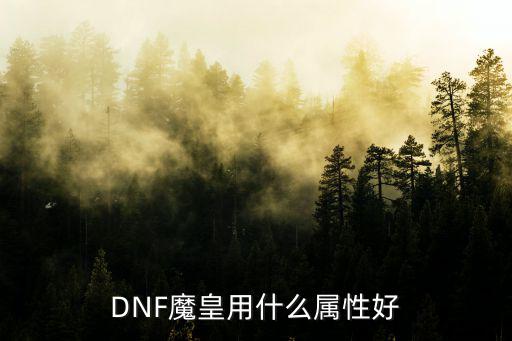 DNF魔皇用什么属性好