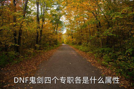 DNF鬼剑四个专职各是什么属性