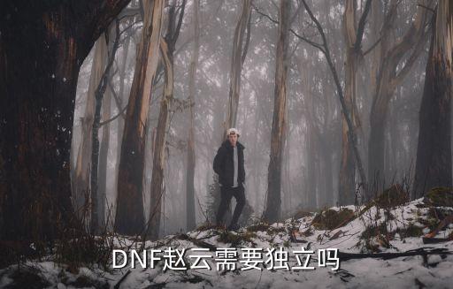 dnf赵云选什么属性攻击，地下城赵云用什么属强