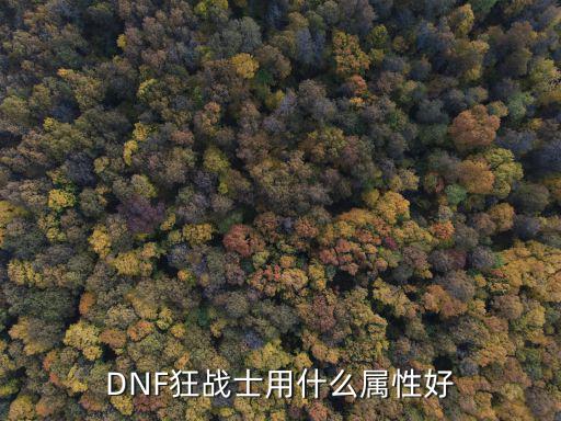 DNF狂战士用什么属性好