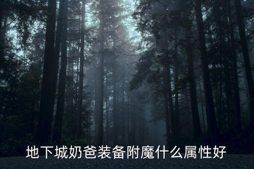 地下城奶爸装备附魔什么属性好