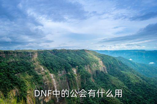 DNF中的公会有什么用