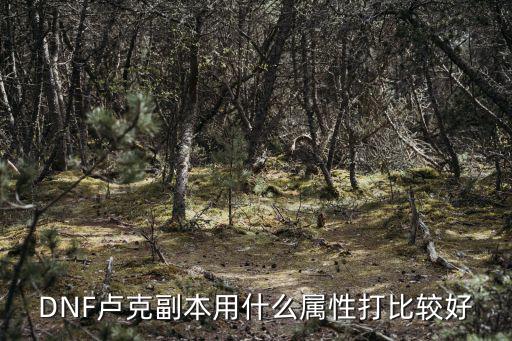 dnf火属性打什么卢克，打卢克走火强还是冰强好