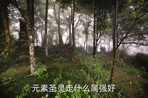 元素圣灵走什么属强好