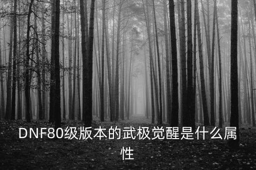 dnf武极武器什么属性，DNF80级版本的武极觉醒是什么属性