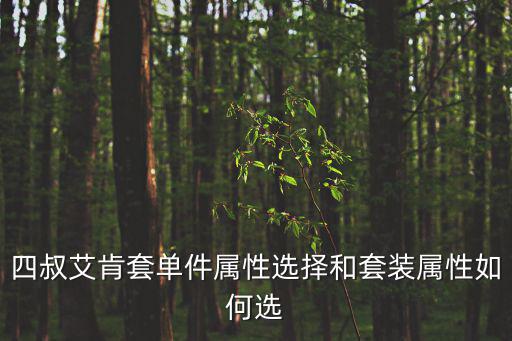 四叔艾肯套单件属性选择和套装属性如何选