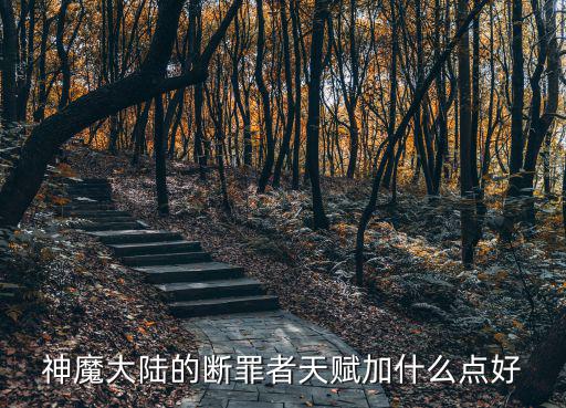 神魔大陆的断罪者天赋加什么点好