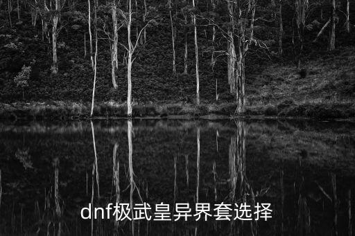 dnf极武皇异界套选择