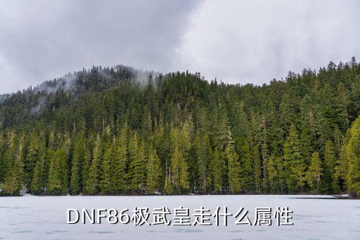 DNF86极武皇走什么属性