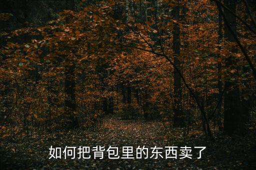 如何把背包里的东西卖了