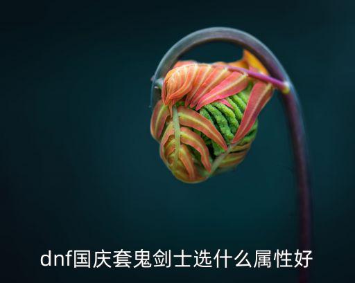 dnf国庆套鬼剑士选什么属性好