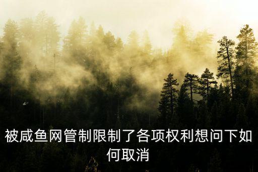 闲鱼游戏装备违规怎么办，闲鱼违规被封号怎么办