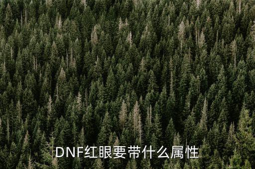 DNF红眼要带什么属性