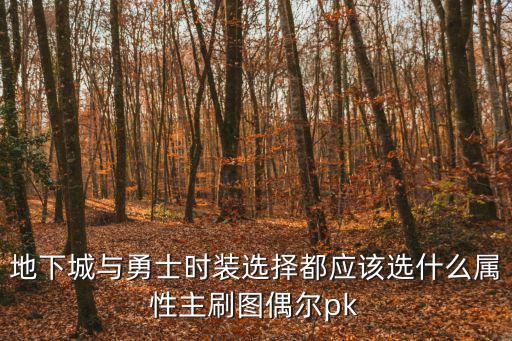地下城与勇士时装选择都应该选什么属性主刷图偶尔pk