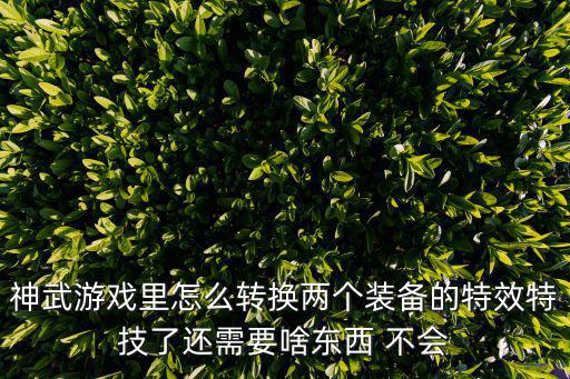 神武游戏里怎么转换两个装备的特效特技了还需要啥东西 不会